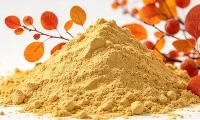 Pa un Sy'n Well: Fisetin Neu Quercetin?